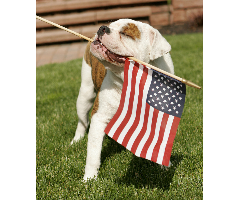 4thofjulyblog1