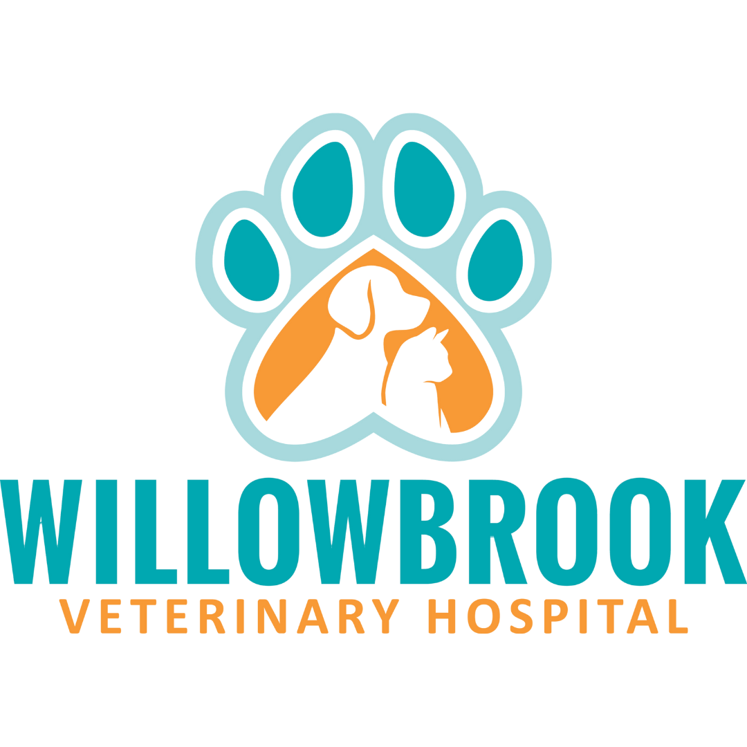 Emergency vet in Tigard