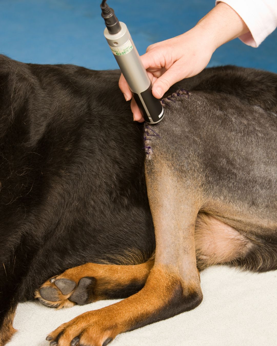 lasertherapy1