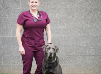 Welcoming Dr. Sarah Dougherty to Willowbrook Veterinary Hospital!