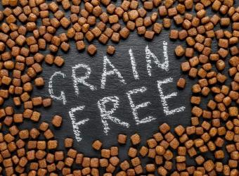 Should Your Dog Eat a Grain-Free Diet? What Pet Owners Need to Know